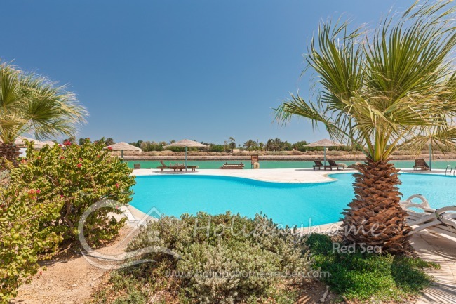 Beautiful pool with palm trees