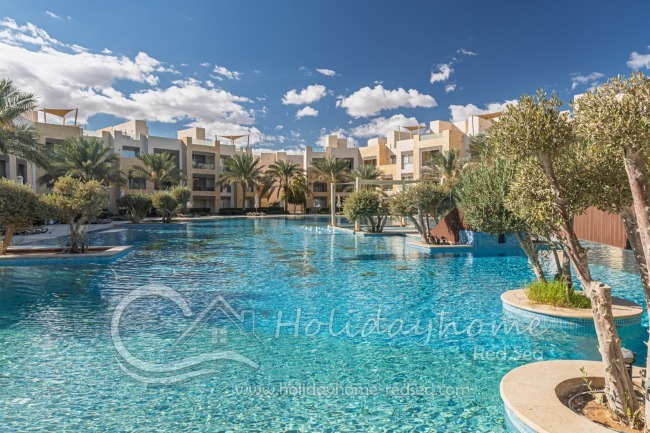 Beautiful pool with palm trees