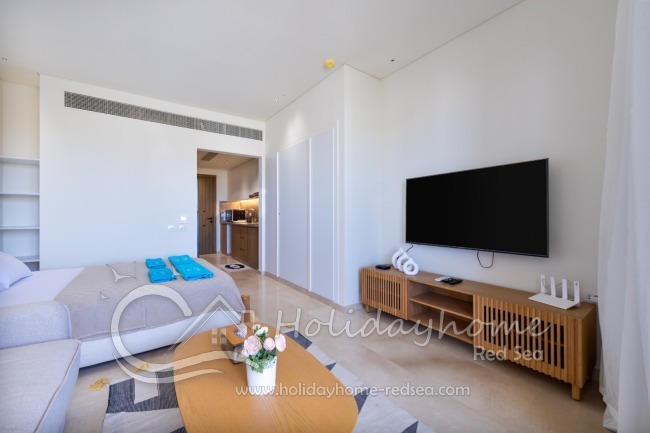 Large smart TV and WiFi